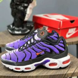Nike Air Max TN Colors Hombre Réplica AAA | Stand Shop